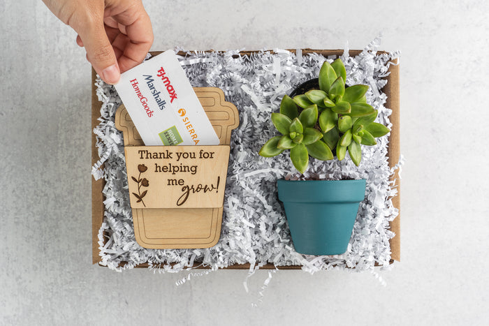 Mini 2 Succulent Desk Buddy, Desk Plant Decor, Teacher Appreciation Gift