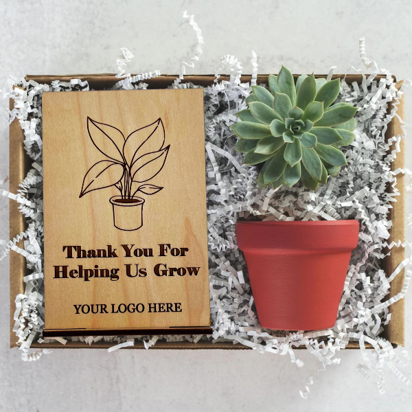 Thank you Grow Gift Box