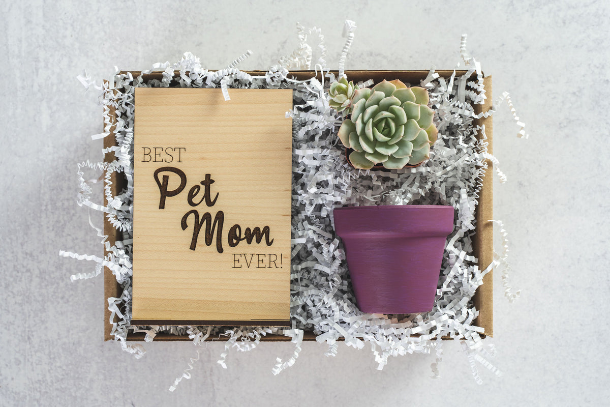 Best Pet Mom Ever Gift Box