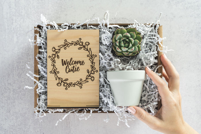 Welcome Cutie Gift Box