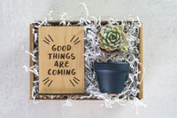 Good Things Gift Box