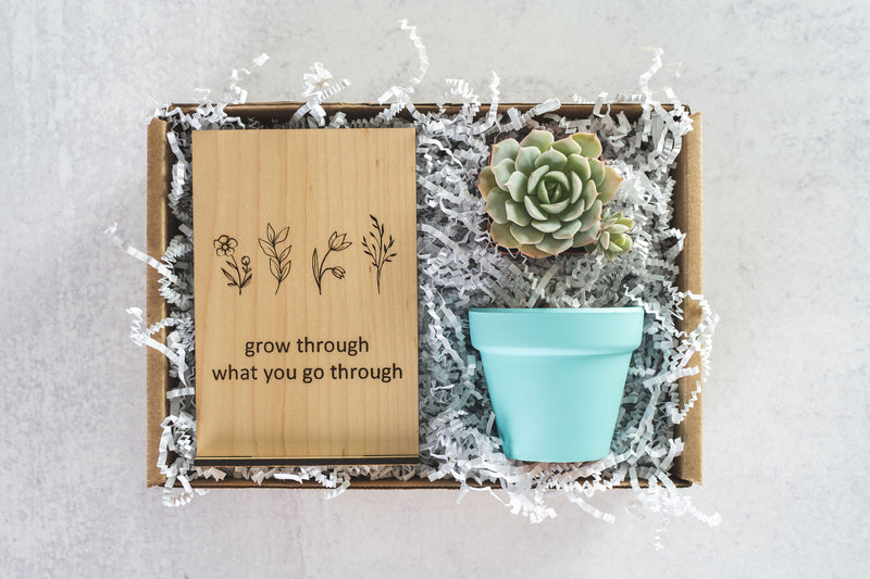 Grow Gift Box