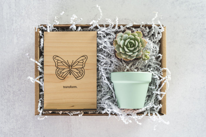 Transform Gift Box