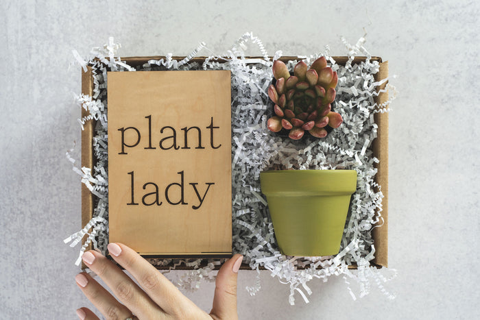 Plant Lady Gift Box