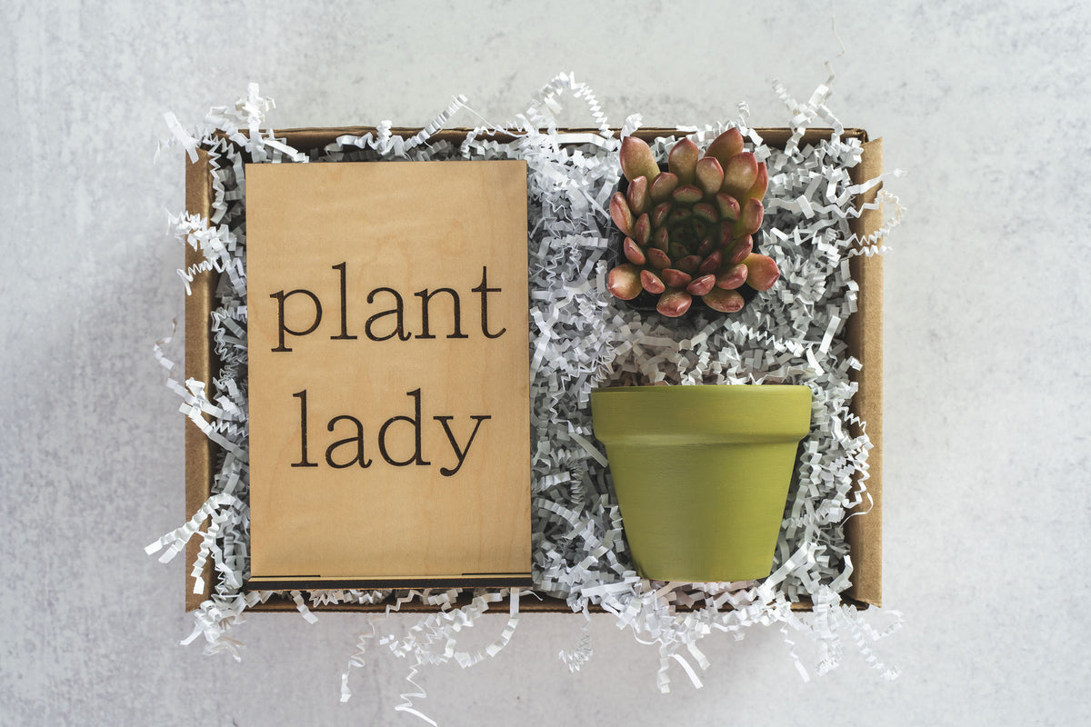 Plant Lady Gift Box