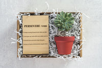 Persevere Gift Box