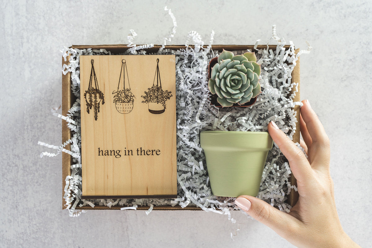 Hang In There Gift Box