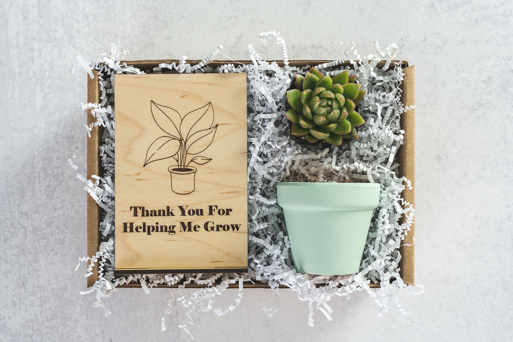 Helping Me Grow Gift Box – Succulent Bar