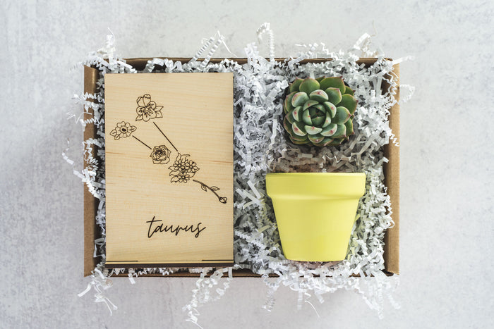 Taurus Gift Box