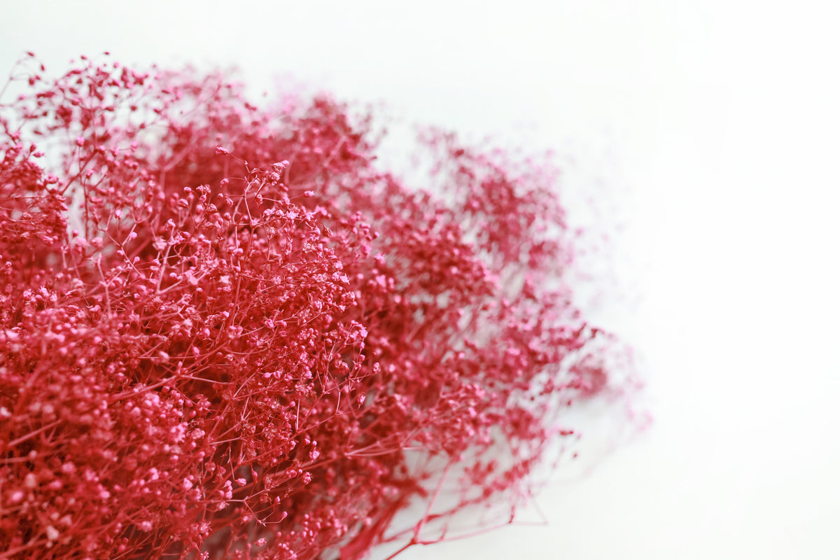 Fuchsia Pink Stardust