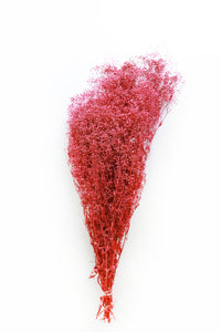 Fuchsia Pink Stardust