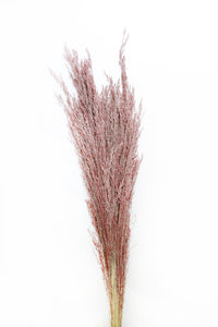 Ruby Silk Grass