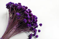 Purple Floral Buttons