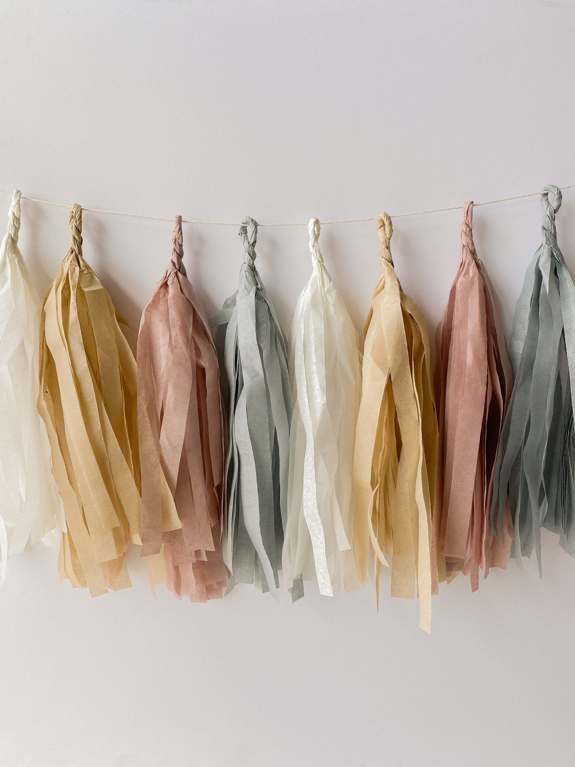 Boho Tissue Tassel Garland Succulent Bar