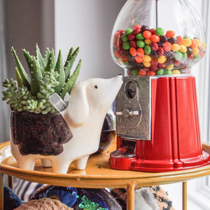 Ceramic Dog Planters