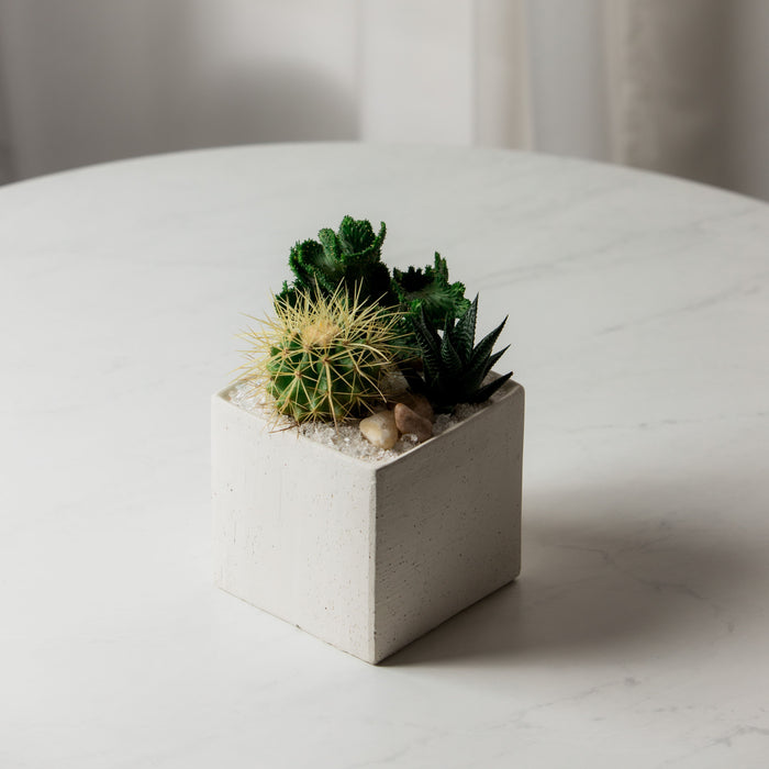 Inspirational Succulent Terrarium Kit – Succulent Bar