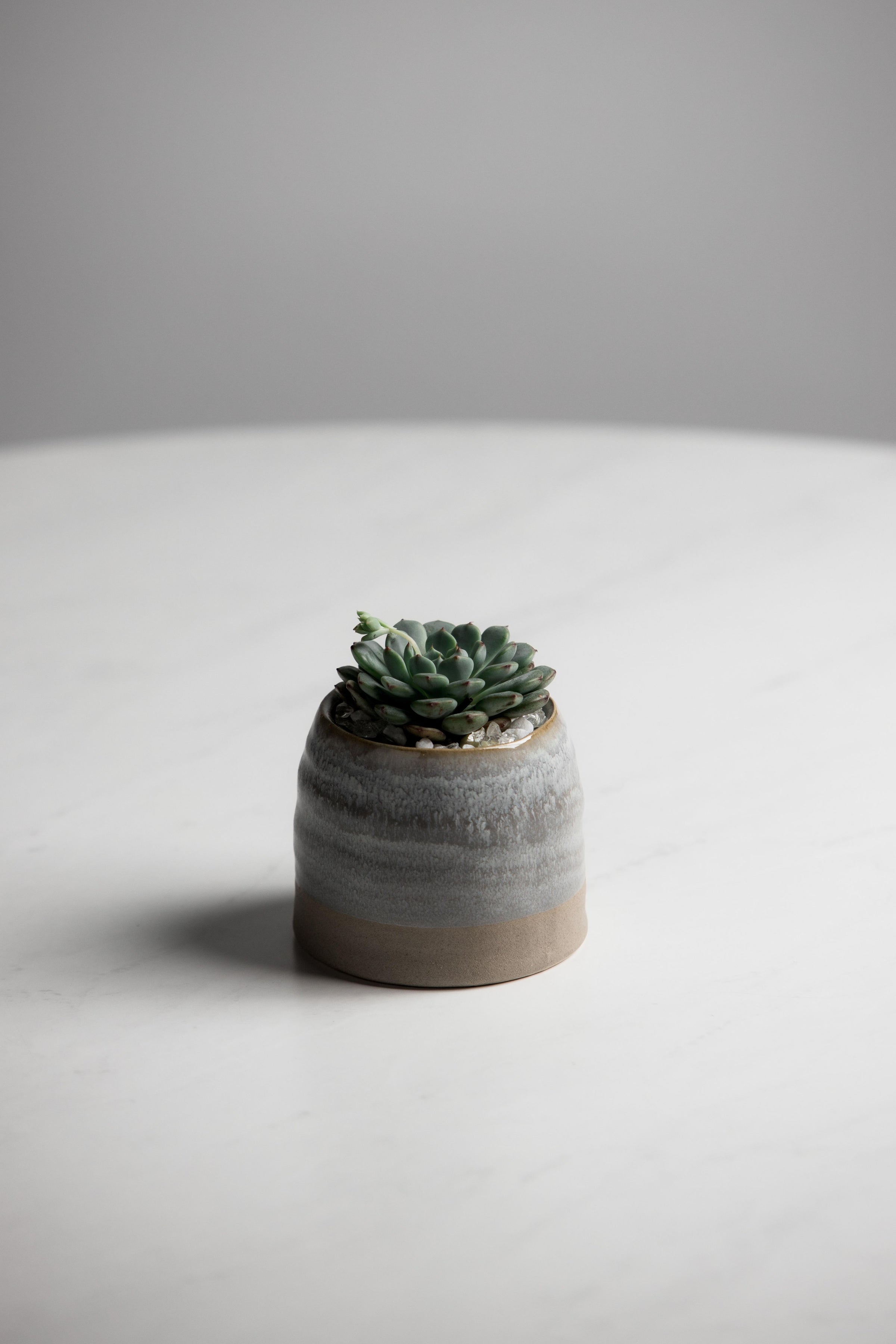 Marley Pot Succulent Bar