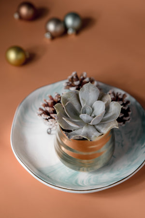 Decorative Marbled Plates