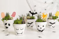 Halloween Plant Picks